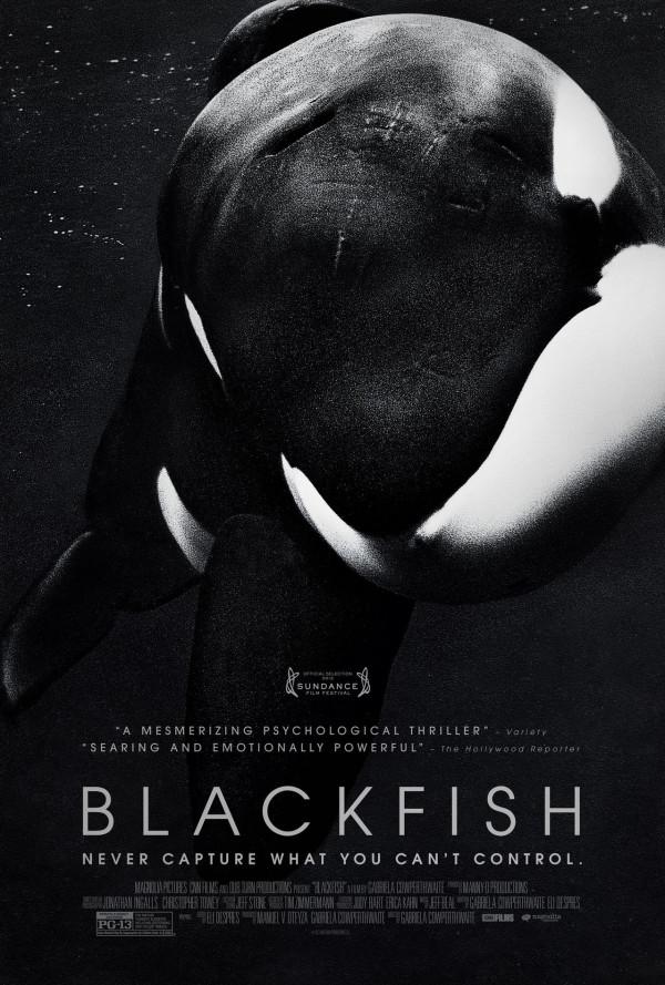 blackfish poster