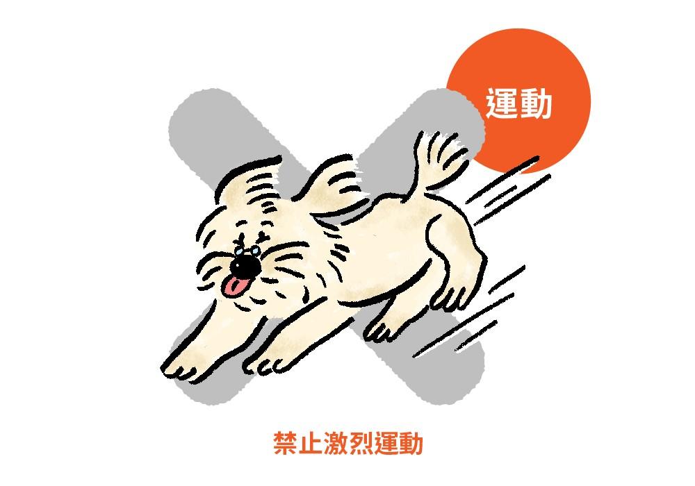 老犬心臟病 下 03