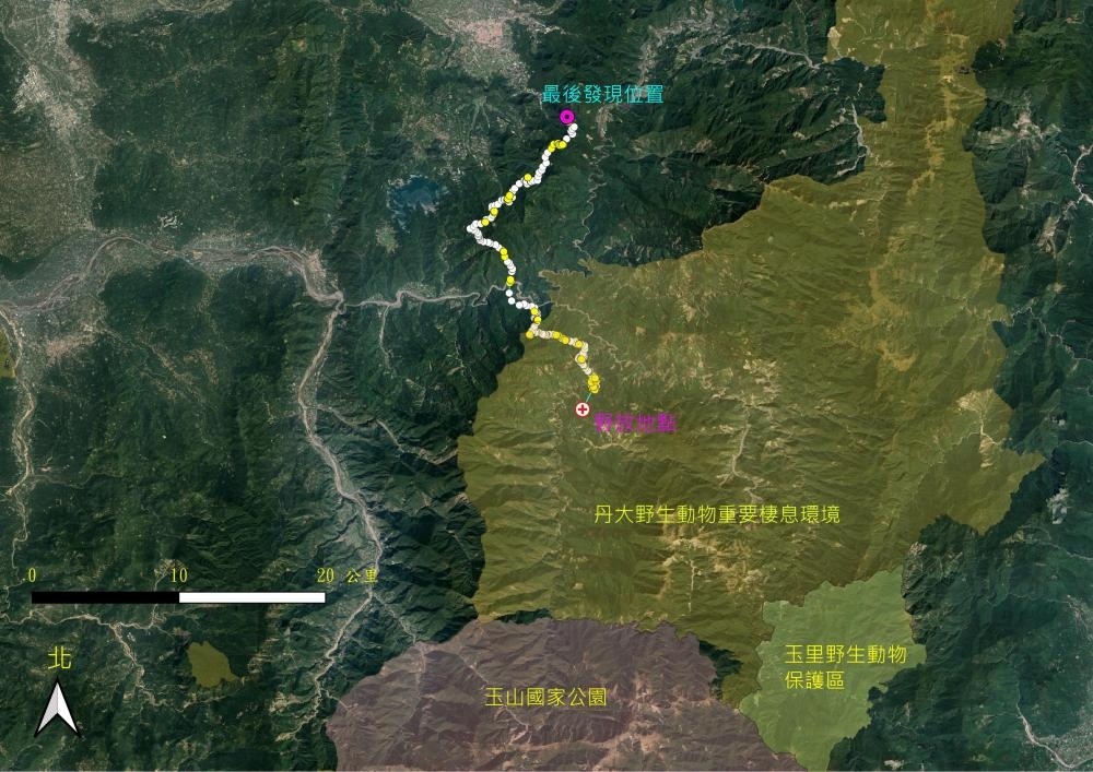 東卯山黑熊今111年4月12日異地野放至丹大野生動物重要棲息環境但很快向北移動穿越電子圍籬範圍 69459 1