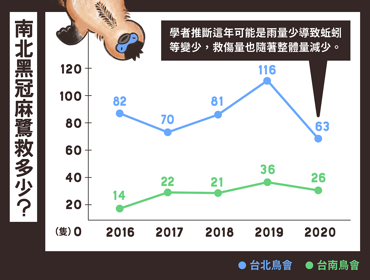 黑冠麻鷺 彩稿 下篇 圖表03