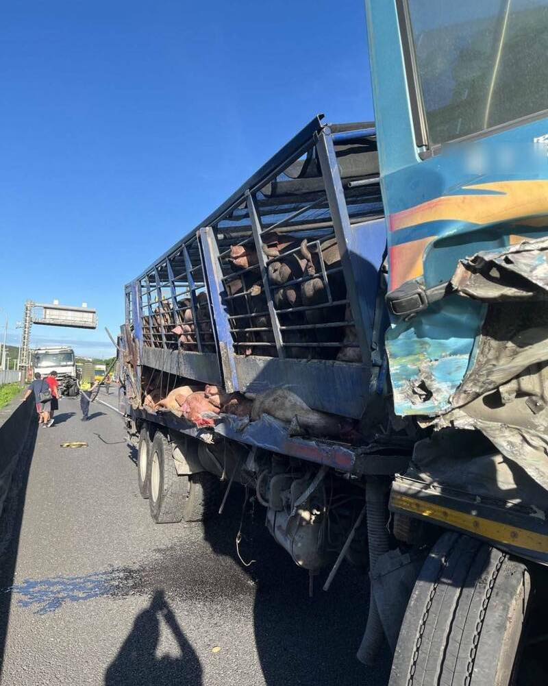 486136529 1051651036996042 3550611110692612268 n