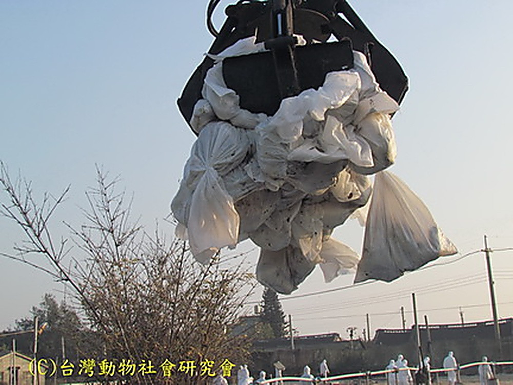 WildlifeEuthanasia102