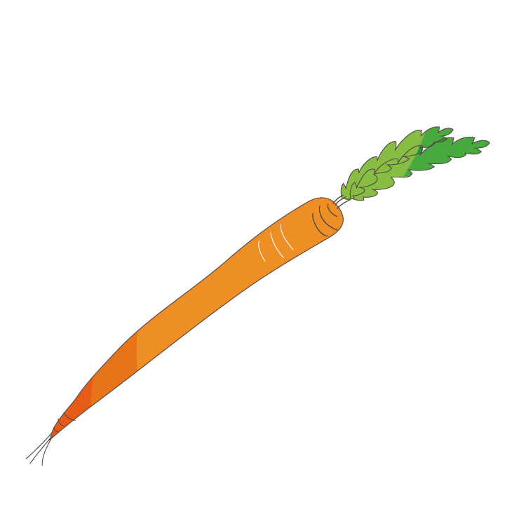 carrot