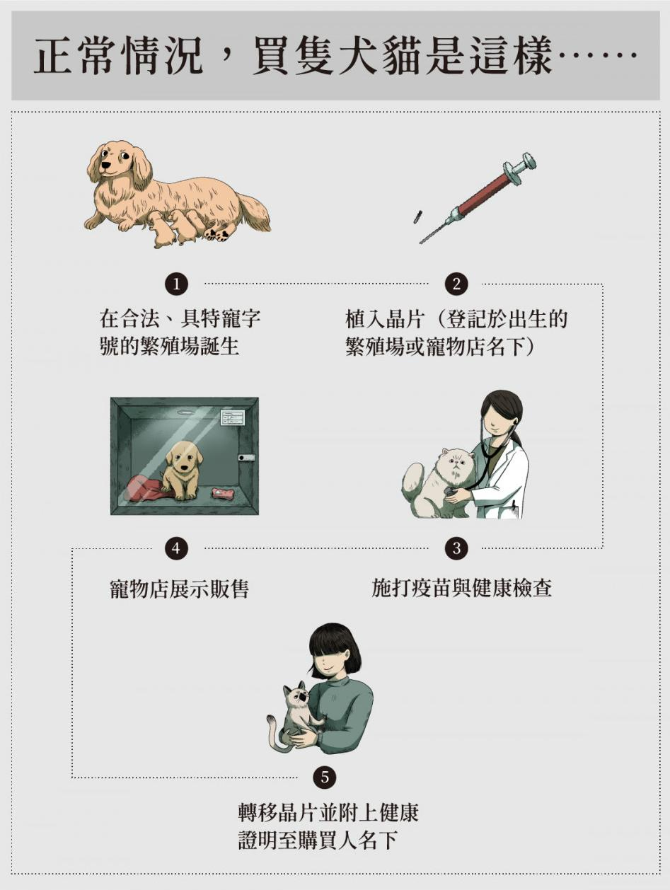 品種犬貓 時事 02