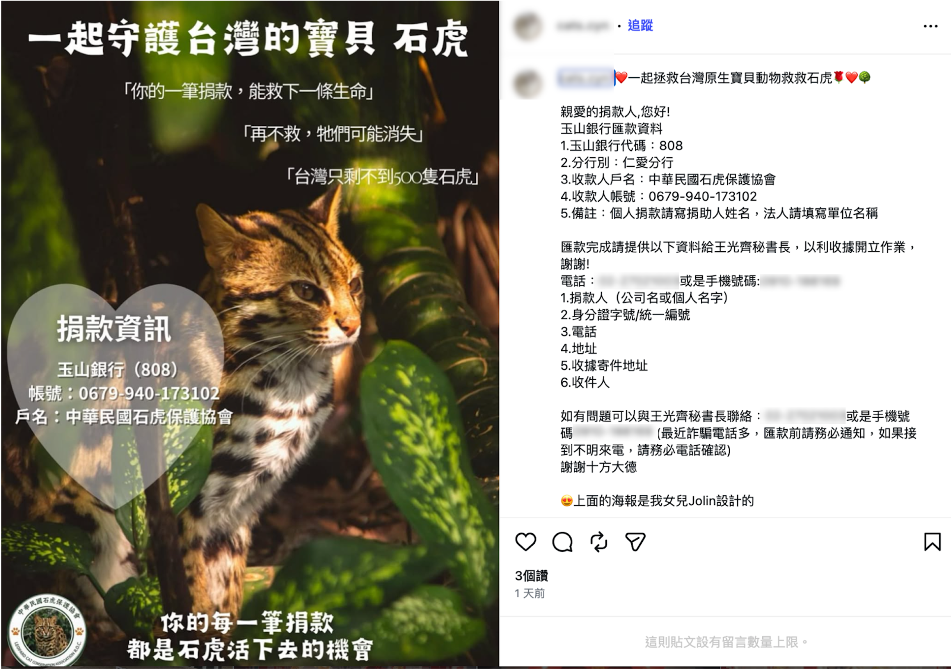 20260408 leopardcat 01