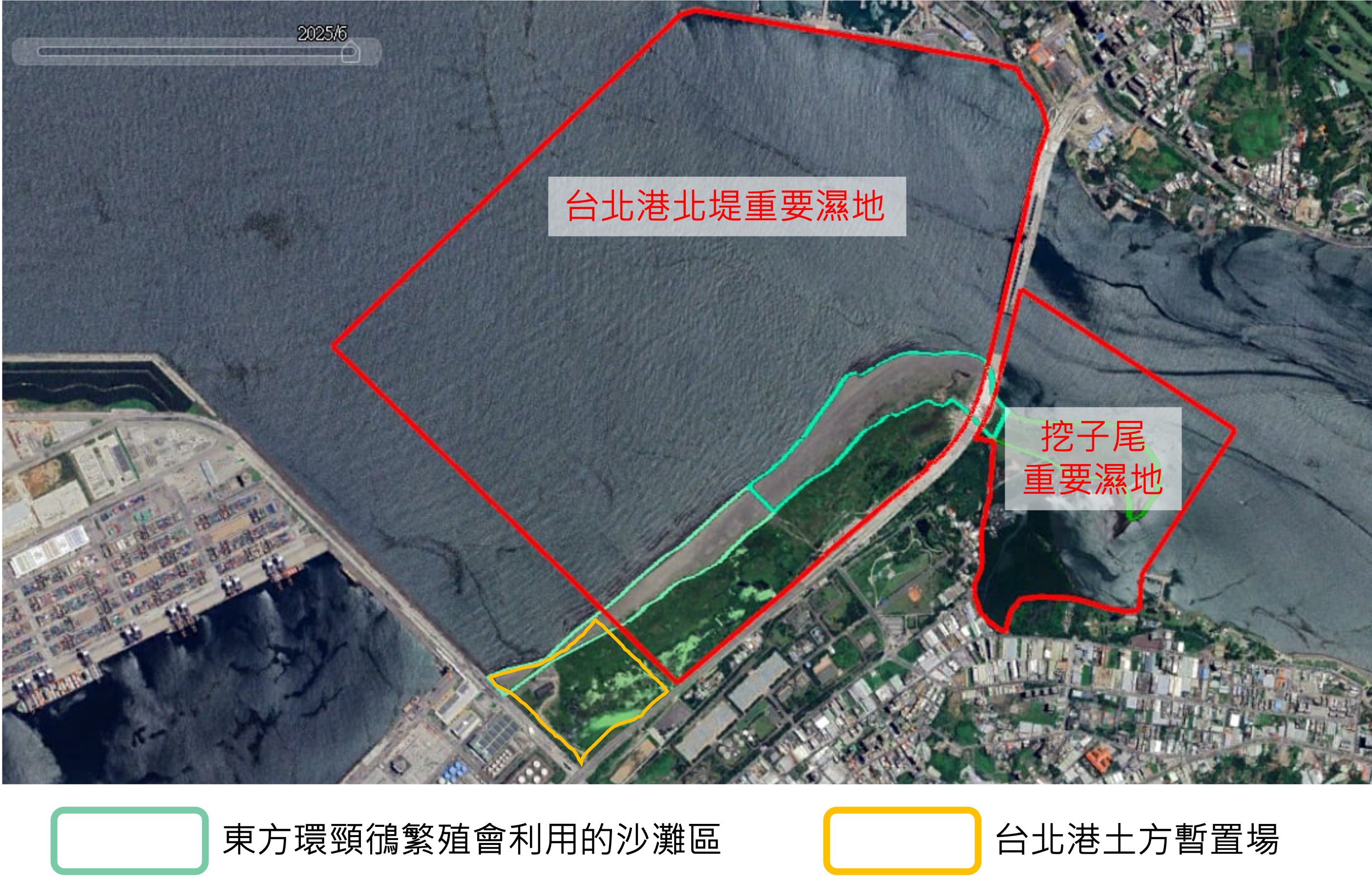 20260421 breedingbird 04