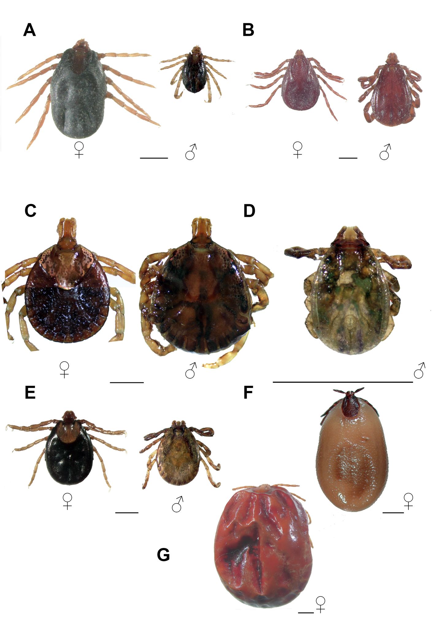 503347041 10229187575813536 2632616005596621552 n