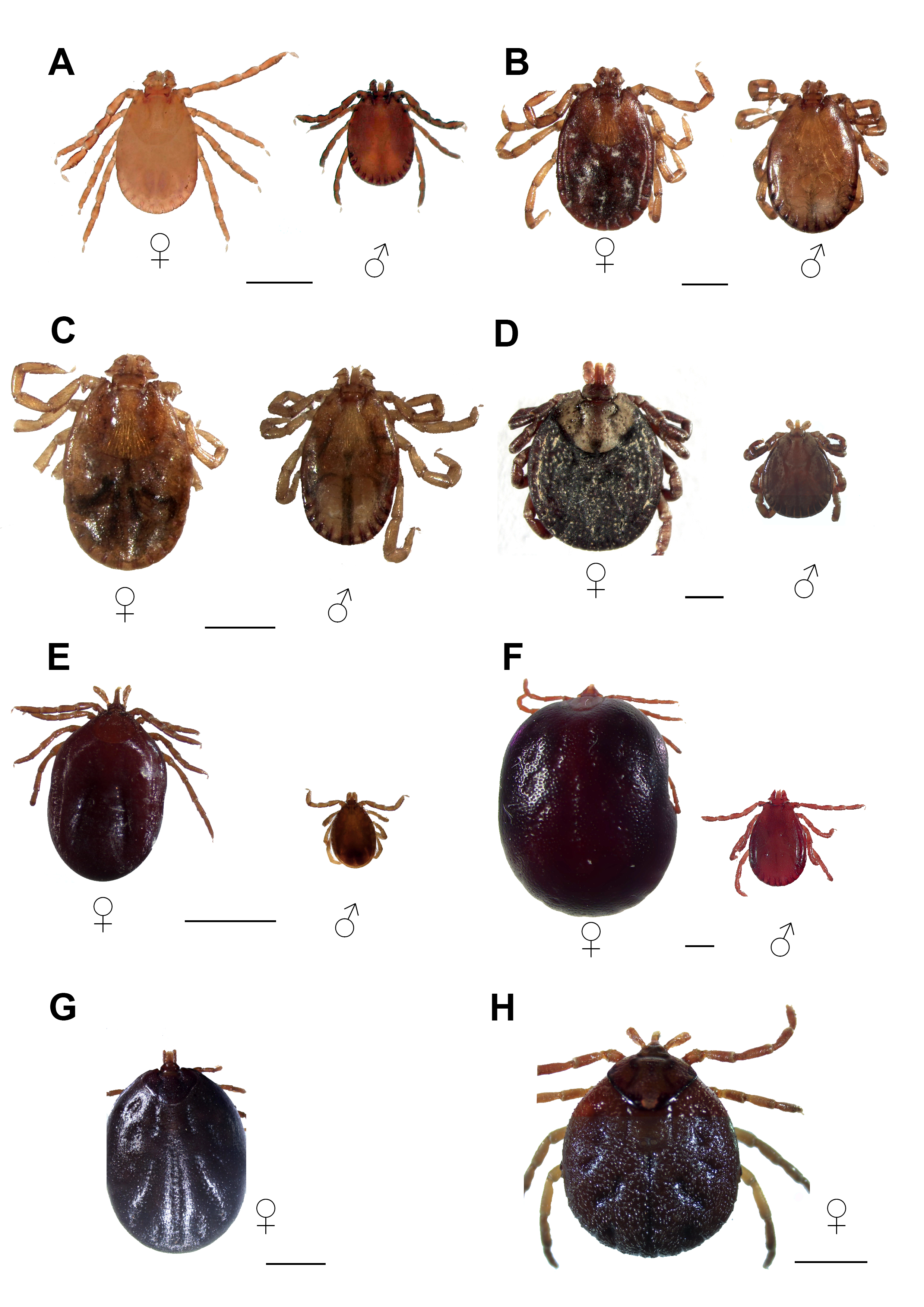 zph13227 sup 0001 figures1