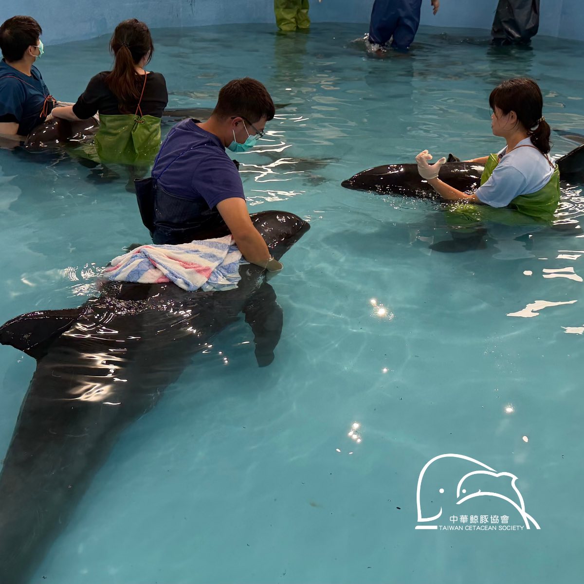 20260507 whale 04