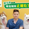 潔牙骨！啾竟如何正確吃？獸醫師來解惑！