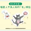 換毛季來襲！如何終結喵星人的毛球症？