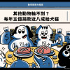 【動保捐款大搜查1】其他動物輪不到？每年五億捐款近八成給犬貓