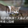 官方證實無誤！犬貓正式名列外來入侵種