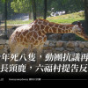 十年死八隻，動團抗議再引進長頸鹿，六福村提告反擊（更新：禁止輸入）