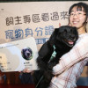 寵物身分證上線 方便管理寵物資訊及健康紀錄