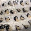 潛水展商疑賣保育類「鯨骨項鍊」，更違法與鯨共游