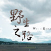 金馬入圍片《野生之路》 揭秘第一線保育現場