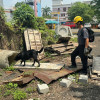 九成搜救案受阻 偵搜犬協會籲：別再餵遊蕩犬貓