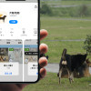 犬蹤地圖APP上線 邀公民回報助定位衝突熱區 犬蹤地圖APP上線 邀公民回報助定位衝突熱區