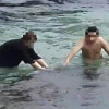 小琉球再度發生海龜遭騷擾 縣府無奈：已多方宣導