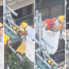 以搬家代替拆家 台電人員細心移巢讓小鳥安心育幼 以搬家代替拆家 台電人員細心移巢讓小鳥安心育幼