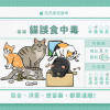 貓中毒——百合、洋蔥、感冒藥，都要遠離！