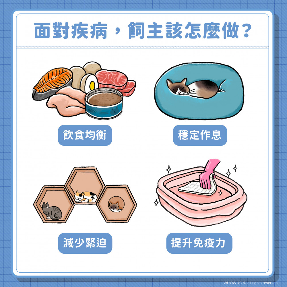 貓傳染性腹膜炎 完稿 05