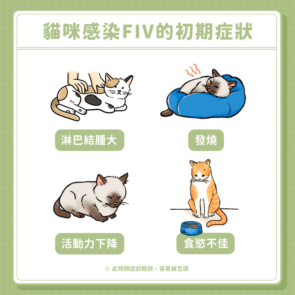 FIV 03