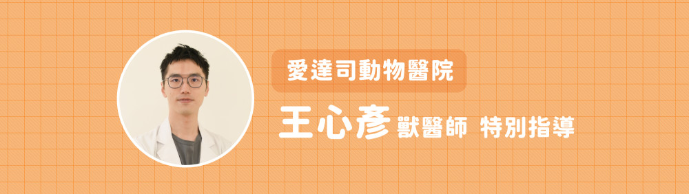 mammary gland tumor 01