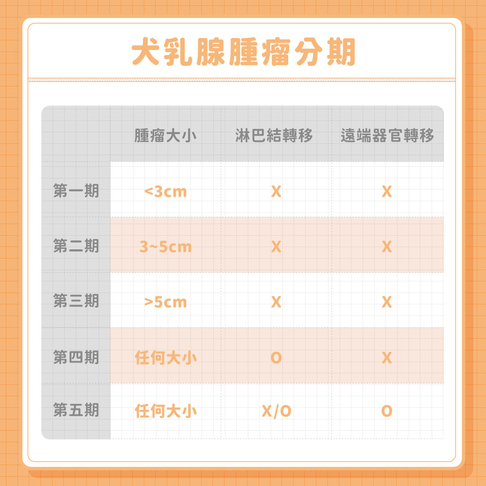 mammary gland tumor 06