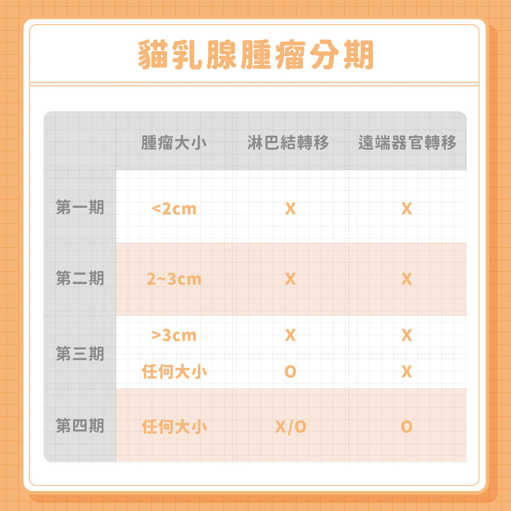 mammary gland tumor 07