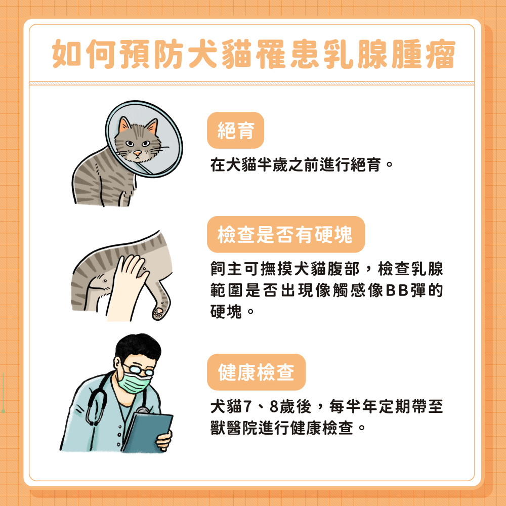 mammary gland tumor 08