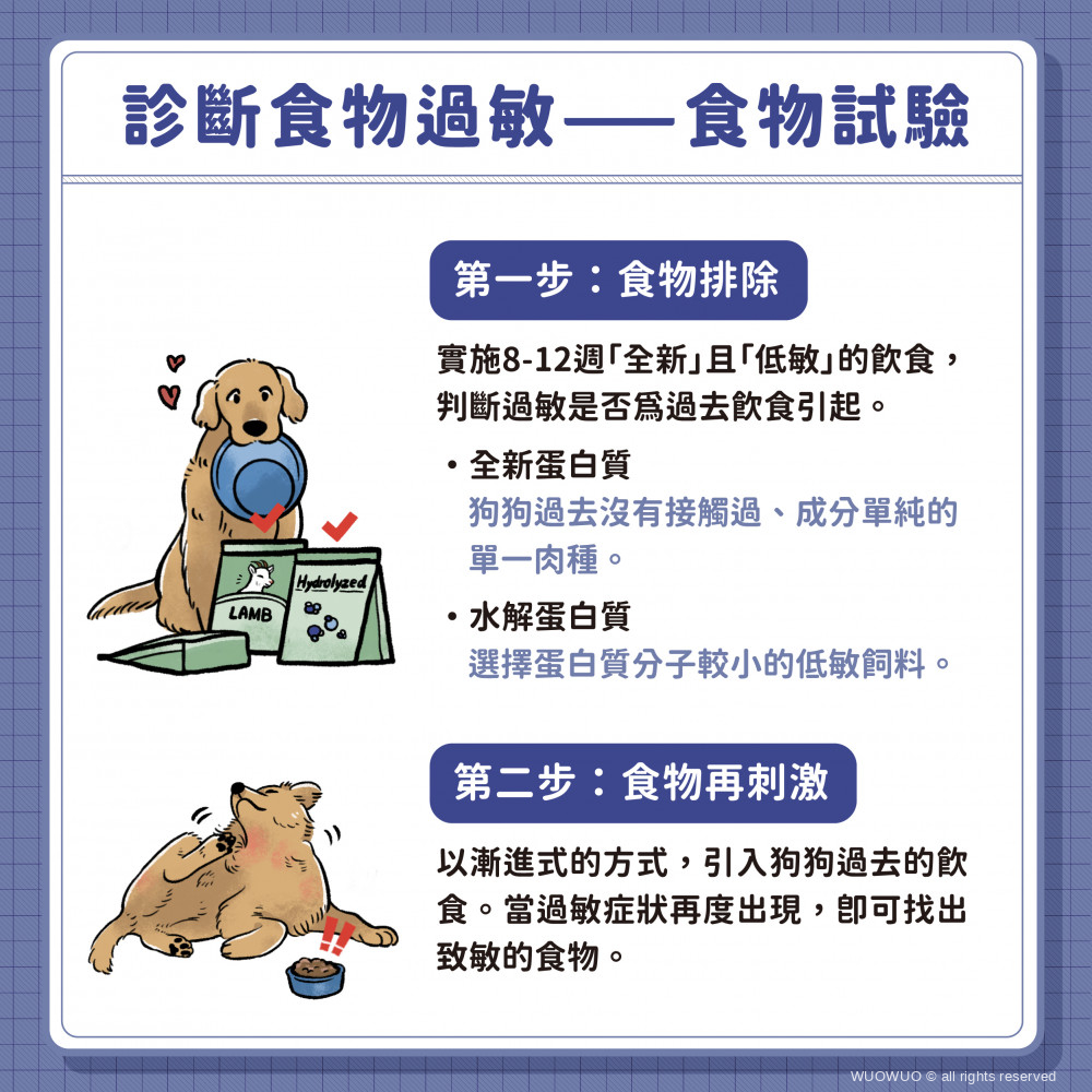 2021 毛孩家庭醫學 犬食物過敏 04