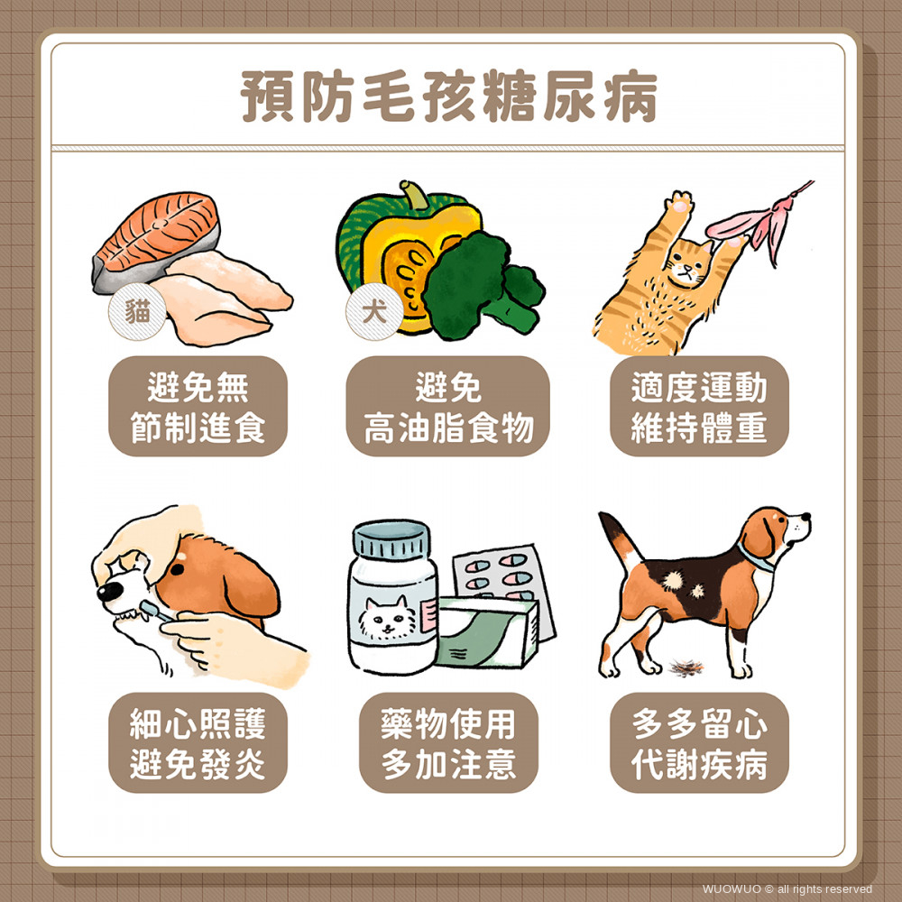 犬貓糖尿病 06