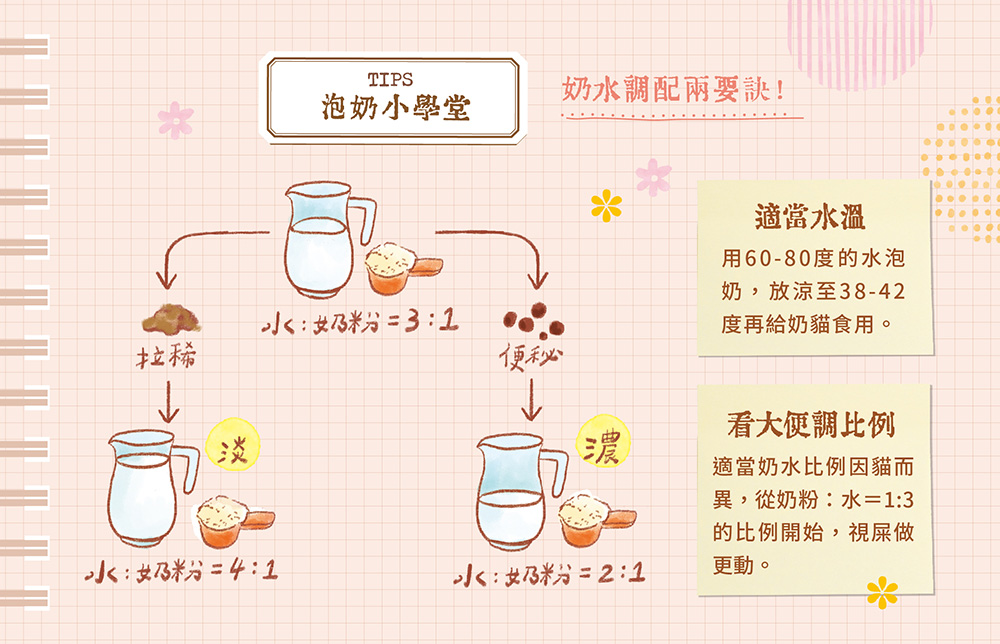 網路版 奶貓養成寶典上 05