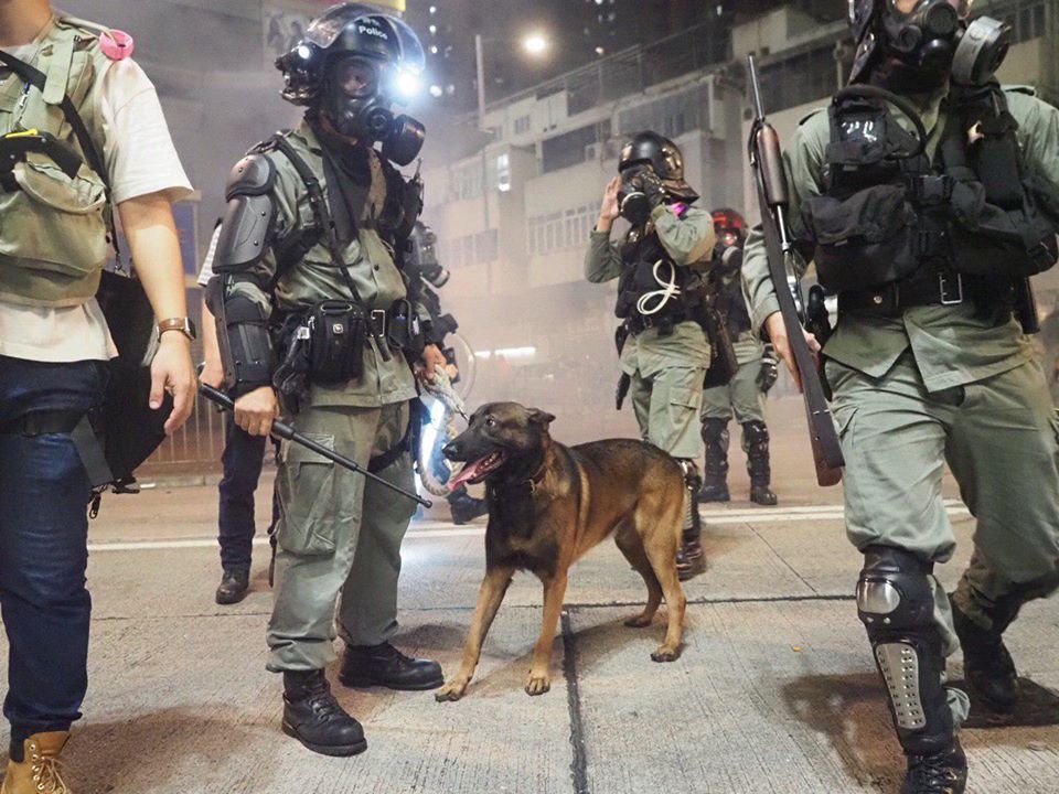 191114港警犬無面罩