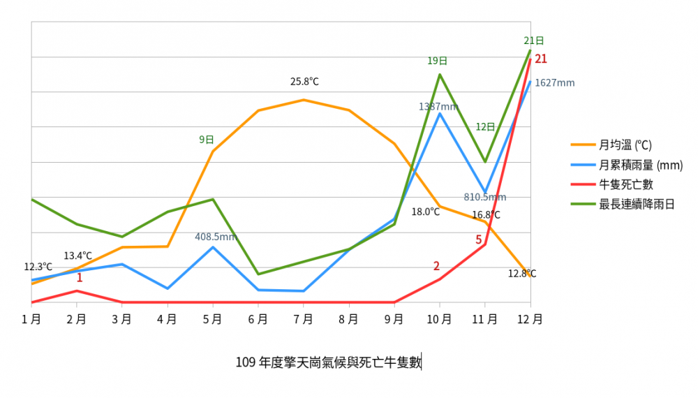 陽明山牛02